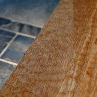 女池モデルハウス